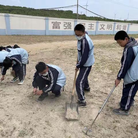 七甲学校5月劳动教育总结