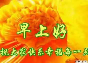 今天五天了