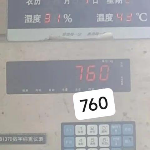 磨刀坑社区 2023年7月28日 餐余收72桶（9.310吨)