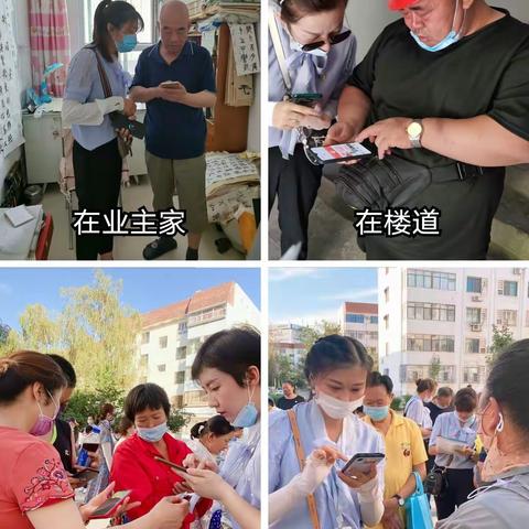 夏已逝，秋未央，秋高气爽物业忙