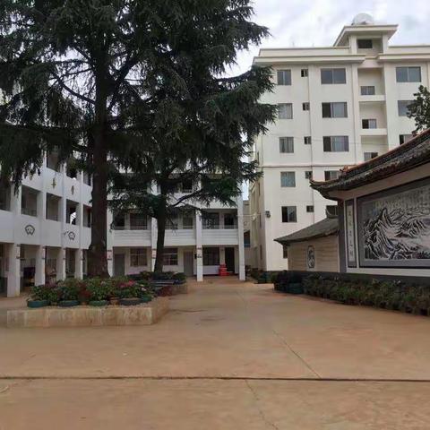 六街小学幼儿园2020年秋季学期招生通告