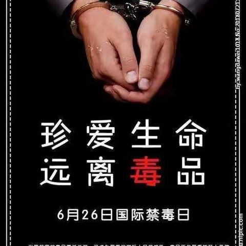 立新小学小手拉大手  禁毒宣传小课堂