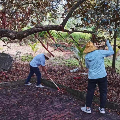 卫生整治专项活动篇