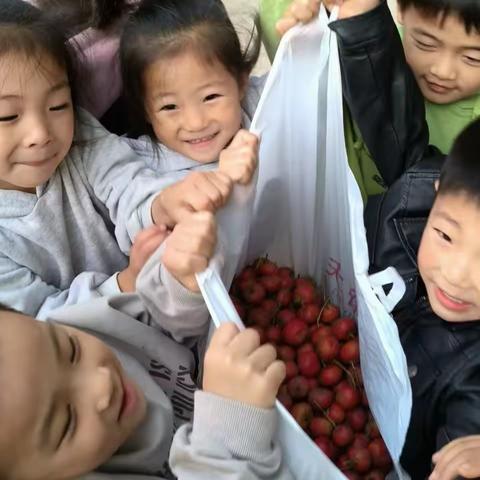 🍒红了山楂 甜了童年🍒﻿﻿豆公镇中心幼儿园——中一班