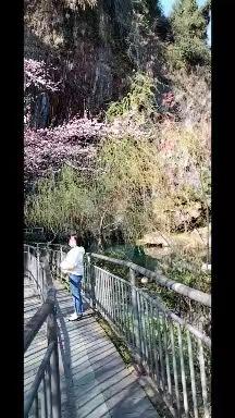 隐水洞*拎蜜小镇