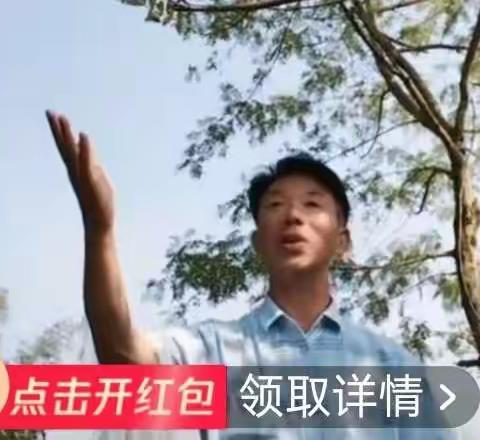 重温《问苍天情为何物》
