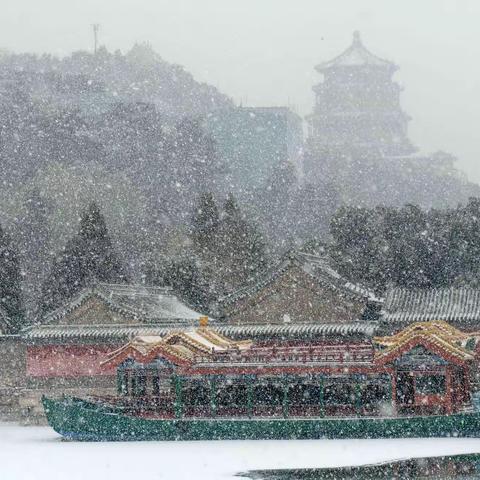 正月里来好风光  农历己亥年北京迎来了两场久违的春雪