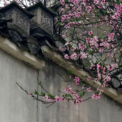 走进春日的徽州