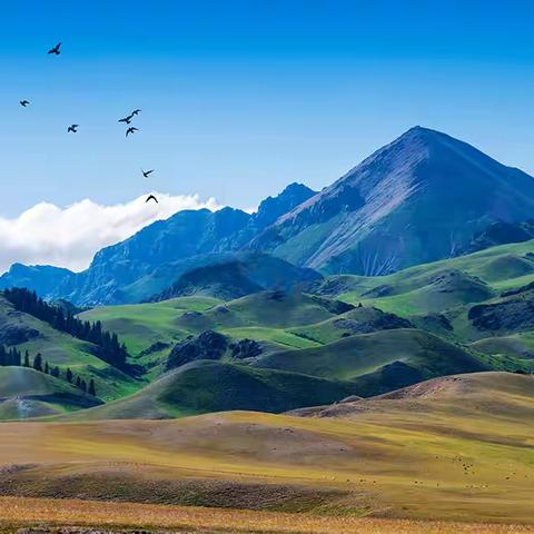 走进新疆拥抱她的壮美