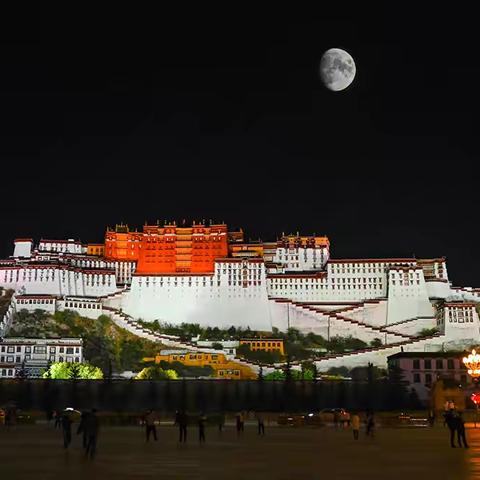 抓住秋天的尾巴，来青藏高原寻找最后的秋色