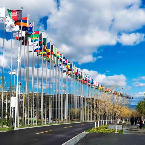 北京世园会 先睹为快