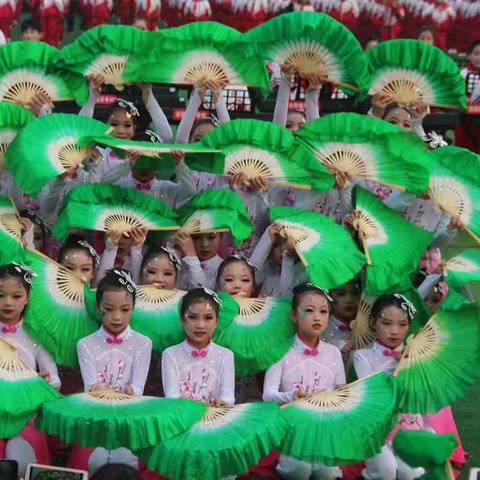 花开有声 乐满校园———沭阳南洋学校小学部三十五届家长会暨器乐特色展演