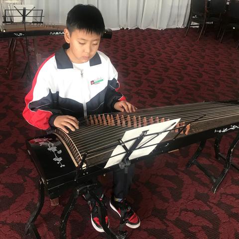古筝活动课