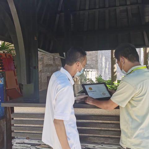 吉阳区旅文局工作日报