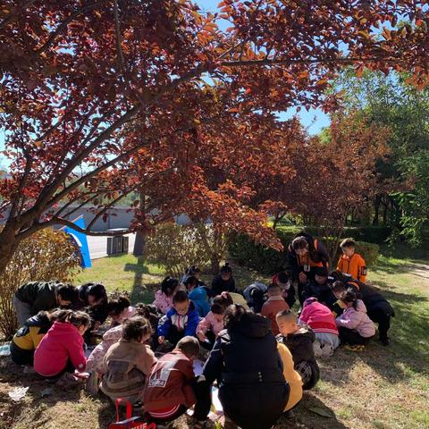 乐迪幼儿园“亲近自然，感知秋天”活动圆满结束🔚🍂