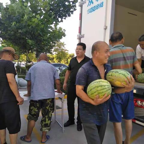炎炎夏日送西瓜🍉清甜凉爽到心间！