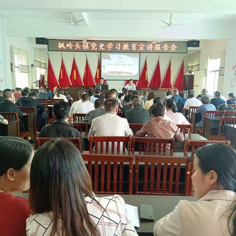 枫岭头镇召开党史学习教育专题宣讲会