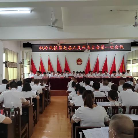 枫岭头镇第七届人民代表大会第一次会议胜利召开