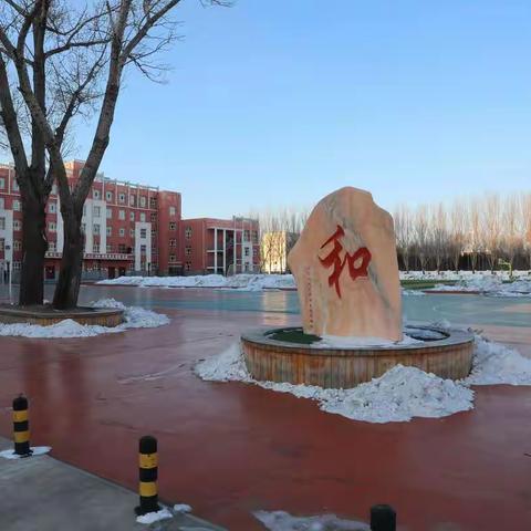 三新背景下新教材精品课展示大赛