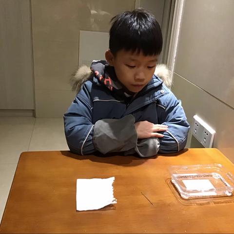 科学小实验——《漂浮的针》