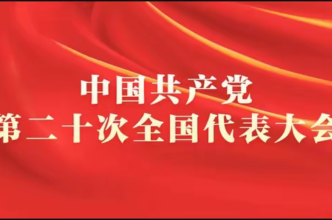 砥砺奋进向未来| 高龙镇干部群众热议习近平总书记在中国共产党第二十次全国代表大会上的报告