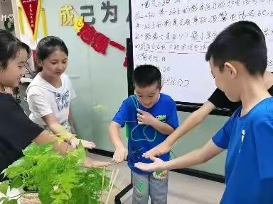 2022年秋季拼搏小组第2期线下小组活动