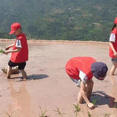 珠海实验小学三年一班拼搏小组《红领巾爱劳动》主题班队活动