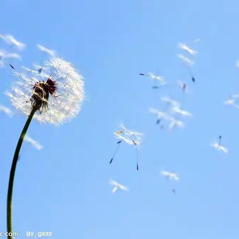 《风来了》教学设计