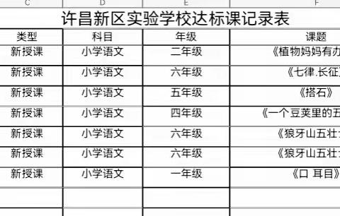 教研之花 静静绽放——语文教研活动