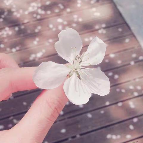 花样“宅”家之中三班老师家中抗疫生活点滴