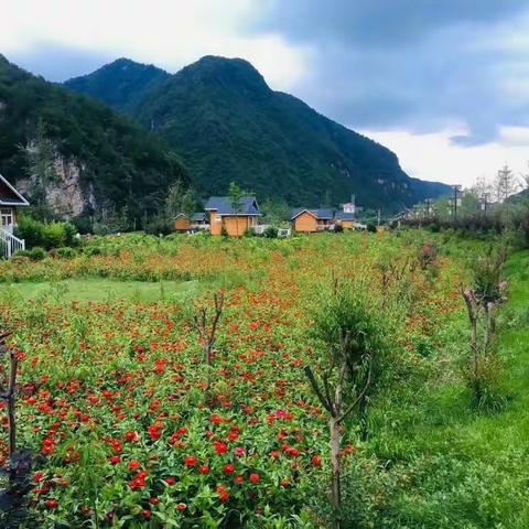 陕西秦岭:草绿天蓝，小河清澈见底，赏鱼抓蟹，由于独特气候条件和老爸的坚持，蜂蜜伴我长大，感恩着幸福着！