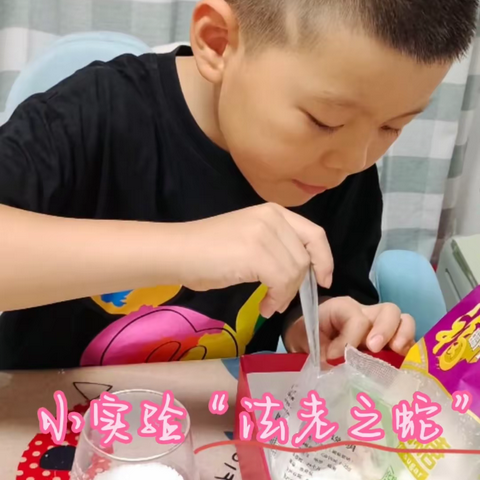 记录生活点滴  撷取灵动思维     ——我手写我心（日记集锦）