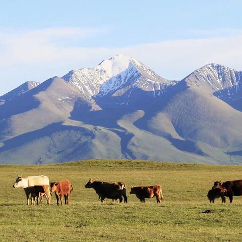 美丽的新疆自驾游游记（二）