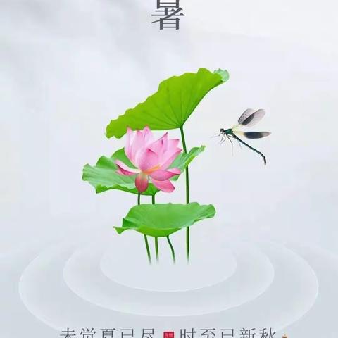 EYFS数学《逛超市》