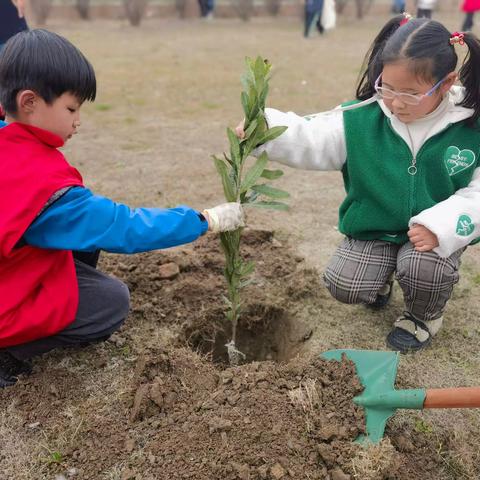 “植”此青绿 遇见皆美好 ——姚桥中心幼儿园植树节活动