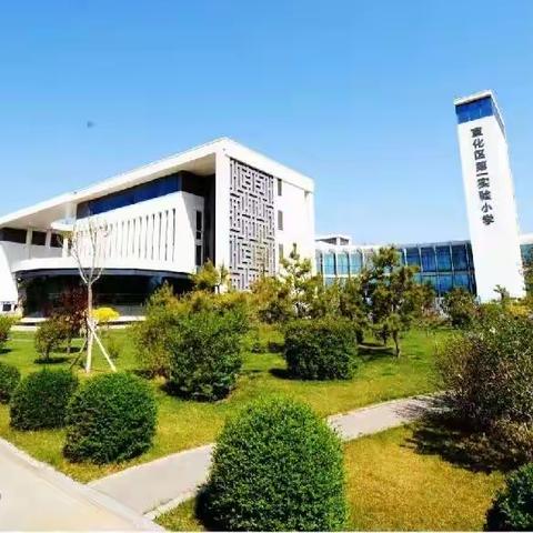 线上教学勤耕耘  凝心聚力抗疫情——宣化区第一实验小学五年级线上教学实纪