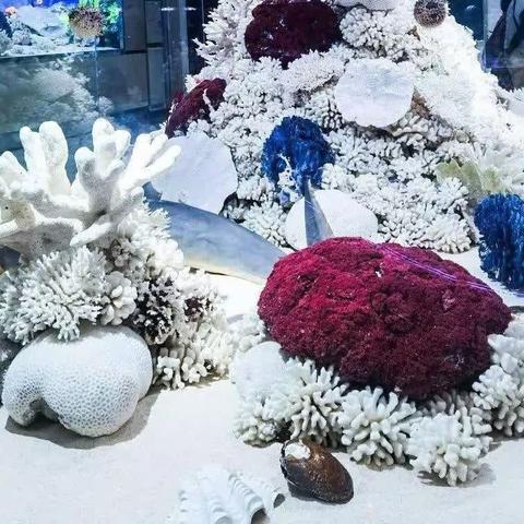 北戴河四天三夜畅玩之旅