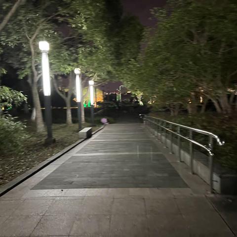 走园-白鹭园夜景