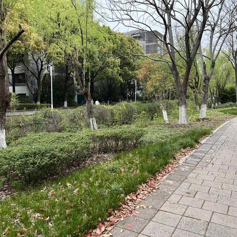 2月走园-随拍