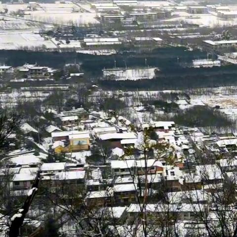 秦岭北麓的雪