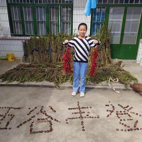 红领巾爱劳动，庆丰收迎盛会—行知实验小学五年级一班