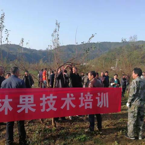 观摩学习促提升   强化管护兴产业