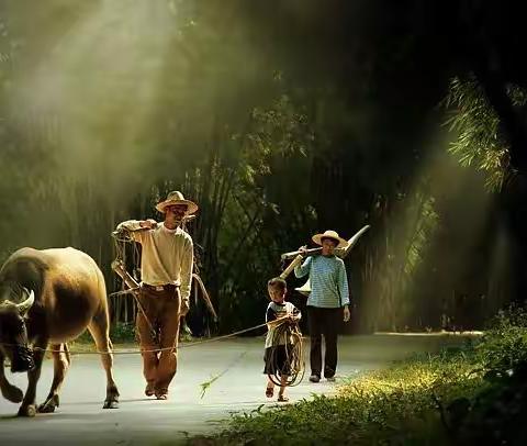 乡村题材•摄影集锦