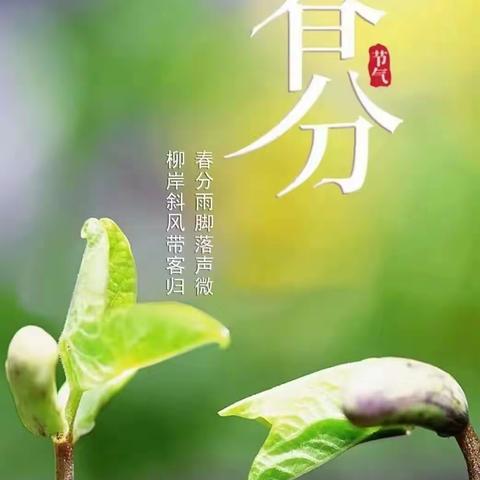 小一班“春风时节，春意盎然”主题活动