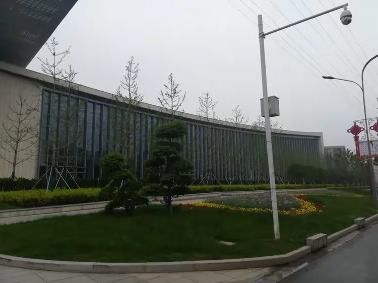 江北新区管委会门口，项目核心段中的重要节点，乔木营造景观空间，银杏的树姿和叶色形成优美的天际线和季相