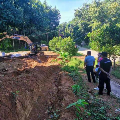 垦地协作，严打“两违”—依法拆除违法建筑