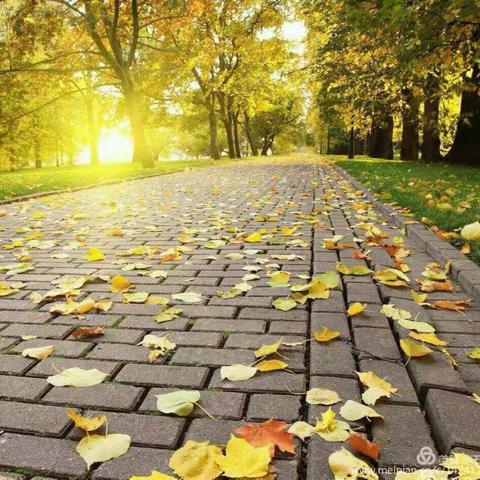 秋风瑟瑟 寒意浓浓 女裤生活馆为您准备了丰富的商品，愿您有物暖身 有人暖心！