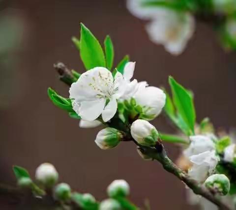 🎀客都超市“周末大事件”遇见春天🍀拥抱自然🌸