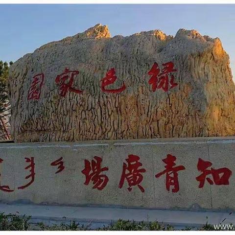 内蒙古乌兰察布盟四子王旗 知青名录