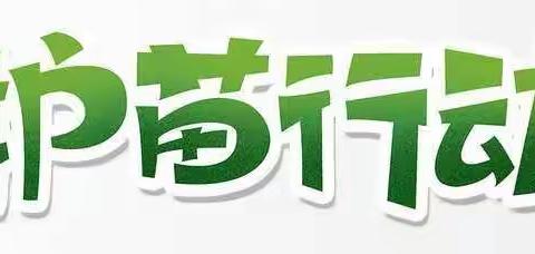 爱苗护苗  守护成长——博乐市乌图布拉格中心学校开学季“护苗”宣传工作信息